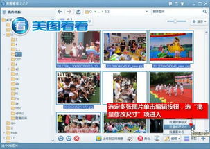 2023管家婆资料正版大全|探索未知的美丽旅程_极速版SSIP.8.454