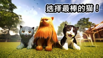 小猫咪大城市手机版无限金币无限宝石下载无广告-小猫咪大城市手机版手游下载v.0.55